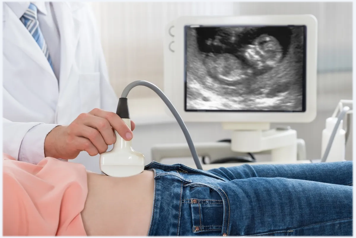 image echographie grossesse